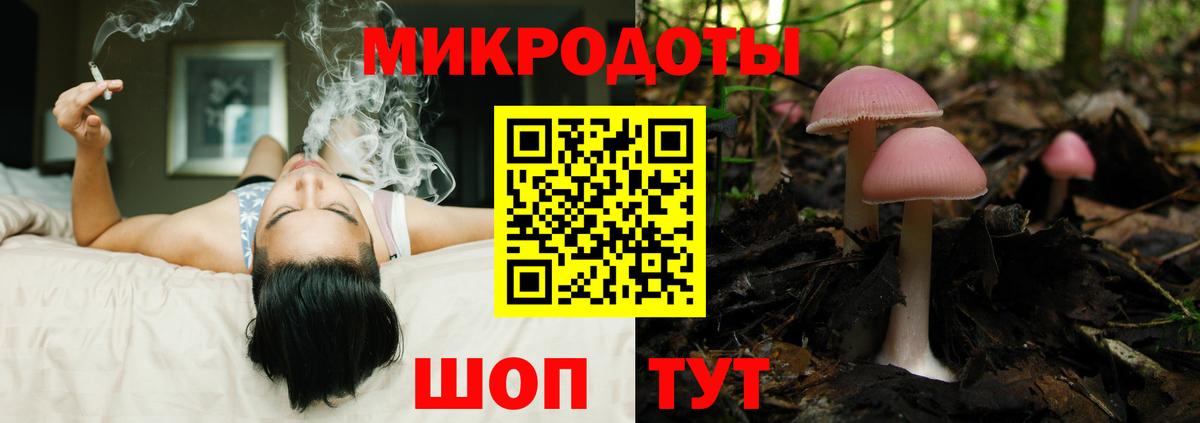 Саяногорск  Галлюциногенные грибы Cubensis  Вход с VPN 